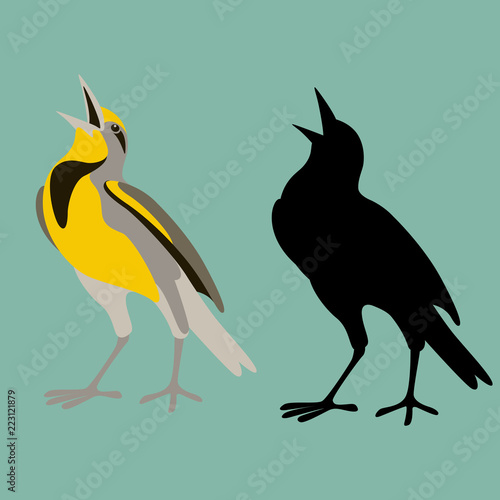 western meadowlark bird  flat style black silhouette 