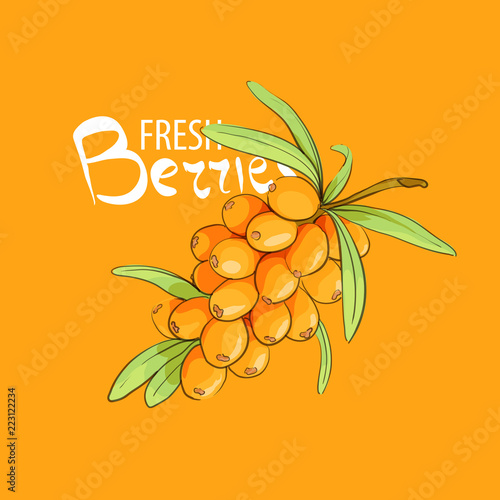fresh sweet sea buckthorn
