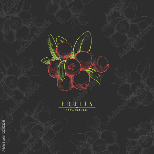fresh sweet lingonberry illustration