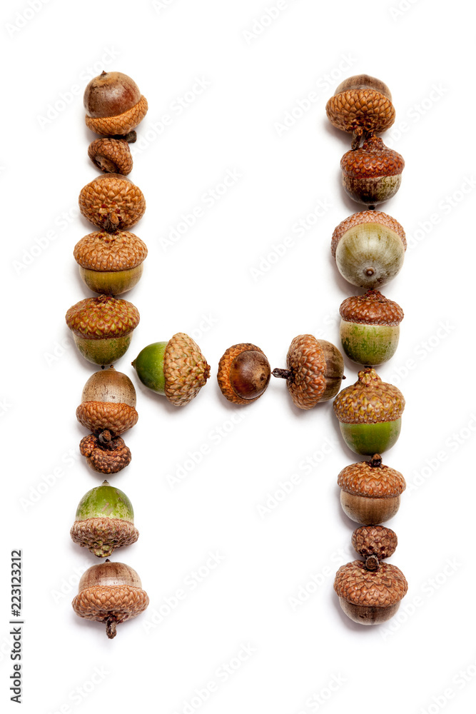 Autumn alphabet. Letter H is made of acorns Autumn alphabet. Letter H is made of acorns