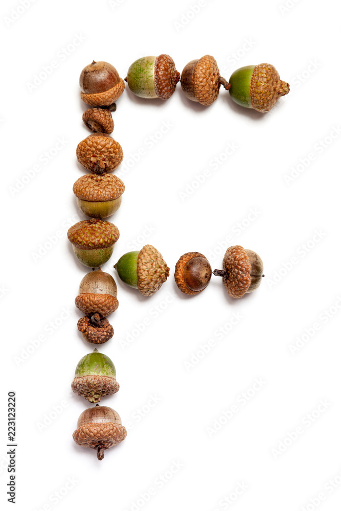 Autumn alphabet. Letter F is made of acorns Autumn alphabet. Letter F is made of acorns