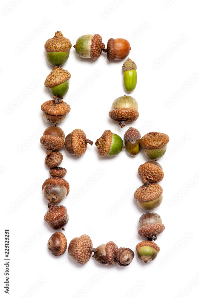 Autumn alphabet. Letter B is made of acorns Autumn alphabet. Letter B is made of acorns