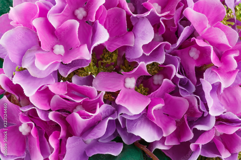 Flowers Flowers