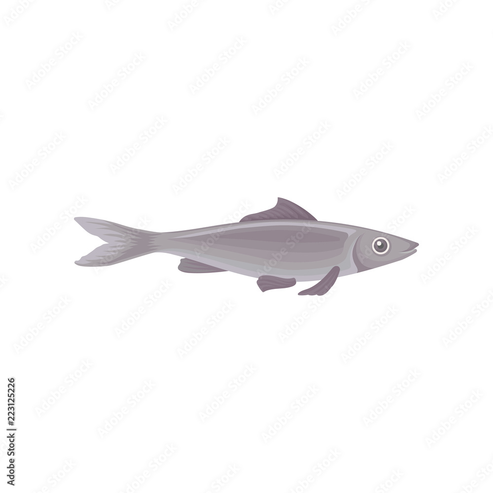Fototapeta premium Flat vector icon of big swimming fish, side view. Marine creature. Inhabitant of ocean