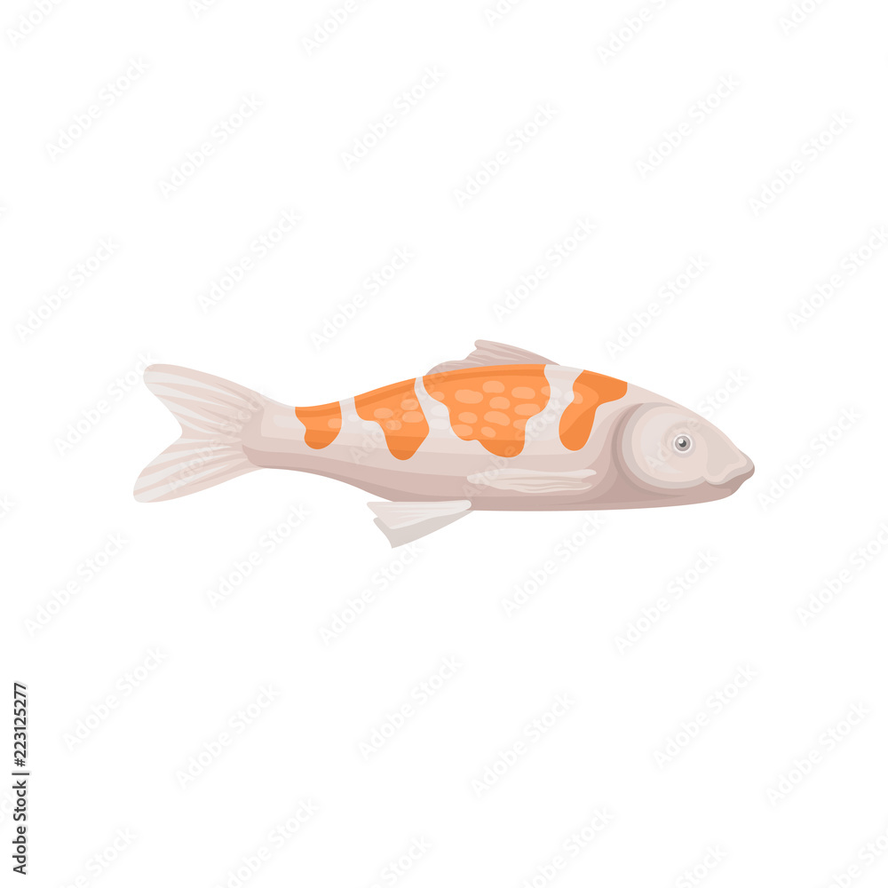 Small koi fish with bright orange spots. Sea creature. Marine animal. Flat  vector for advertising poster or banner Stock Vector | Adobe Stock