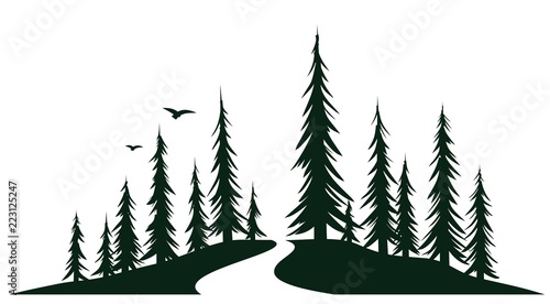 Green wood with road.