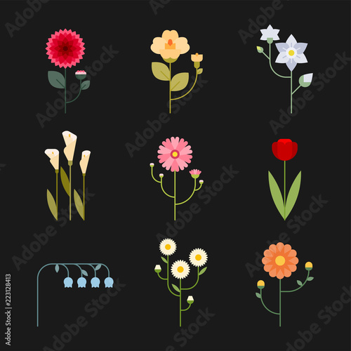 geometric flower icon set. flat design style vector graphic illustration