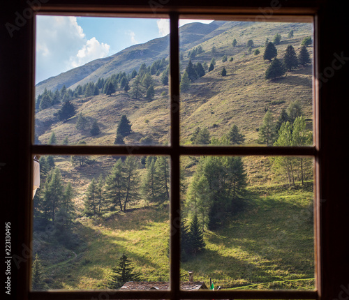 Forest behind a chalet's window in summer