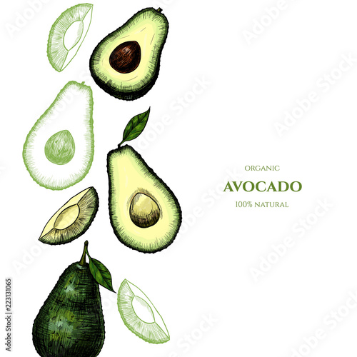 Fotografie Vector frame with avocado. Hand drawn. Vintage style
