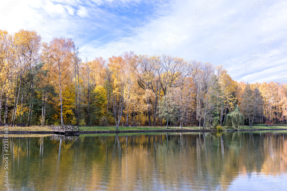 autumn scenic background. park with yellow trees near water lake and blue sky view
