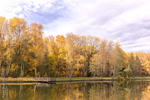 beautiful natural landscape. city park with autumnal trees near lake under blue sky