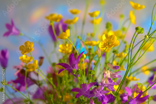 A bouquet of wild flowers. © fotych