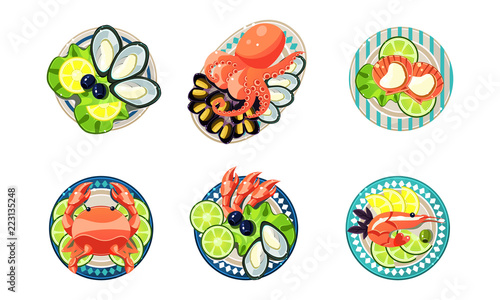 Seafood set, oysters, shrimps, octopus, lobster vector Illustration on a white background