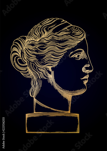 Venus de Milo head sculpture drawn in engraving technique