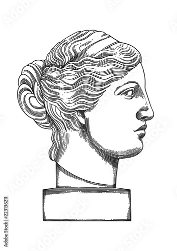 Venus de Milo head sculpture drawn in engraving technique