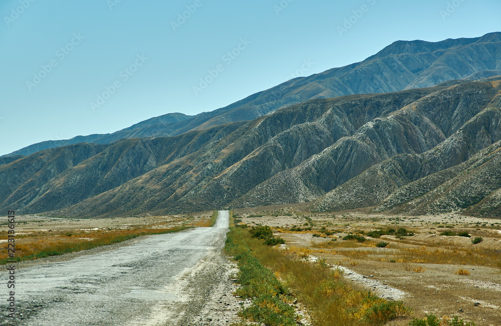 Naryn river valley