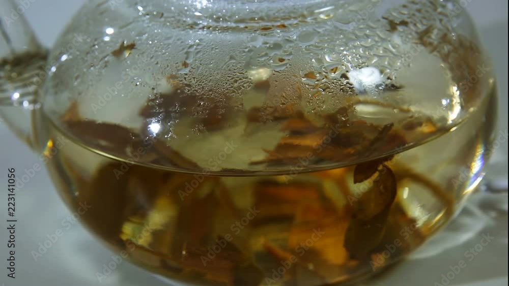 White Willow Bark Medical tea. Tea from Willow Bark close-up White Willow Bark Medical tea. Tea from Willow Bark close-up