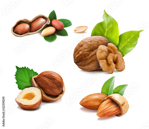 Vector illustration mix of different types nuts on a white backgroun