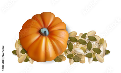 pumpkin seeds on white background.Vector illustration