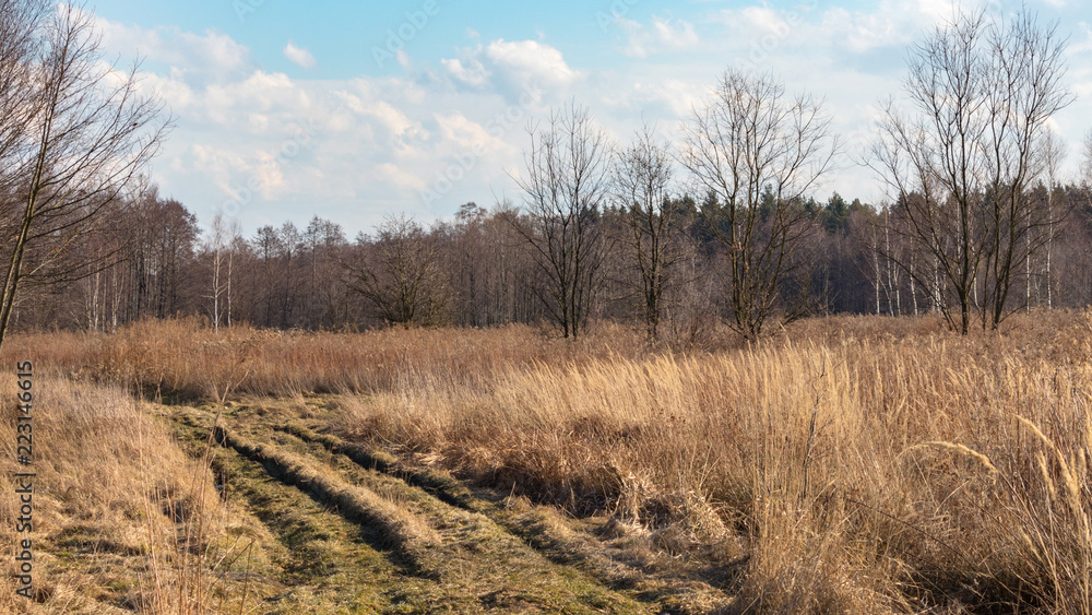 Obraz premium the nature of southern Poland
