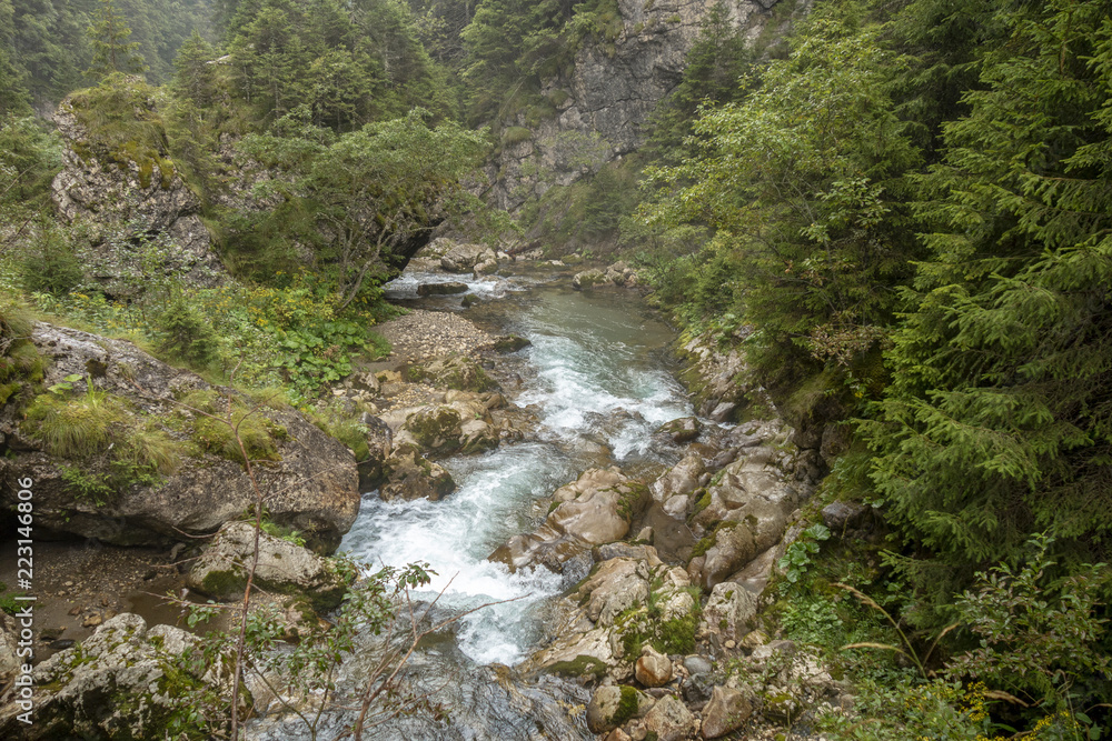 Fast river near forest in Bucegi mountains, Romania Fast river near forest in Bucegi mountains, Romania
