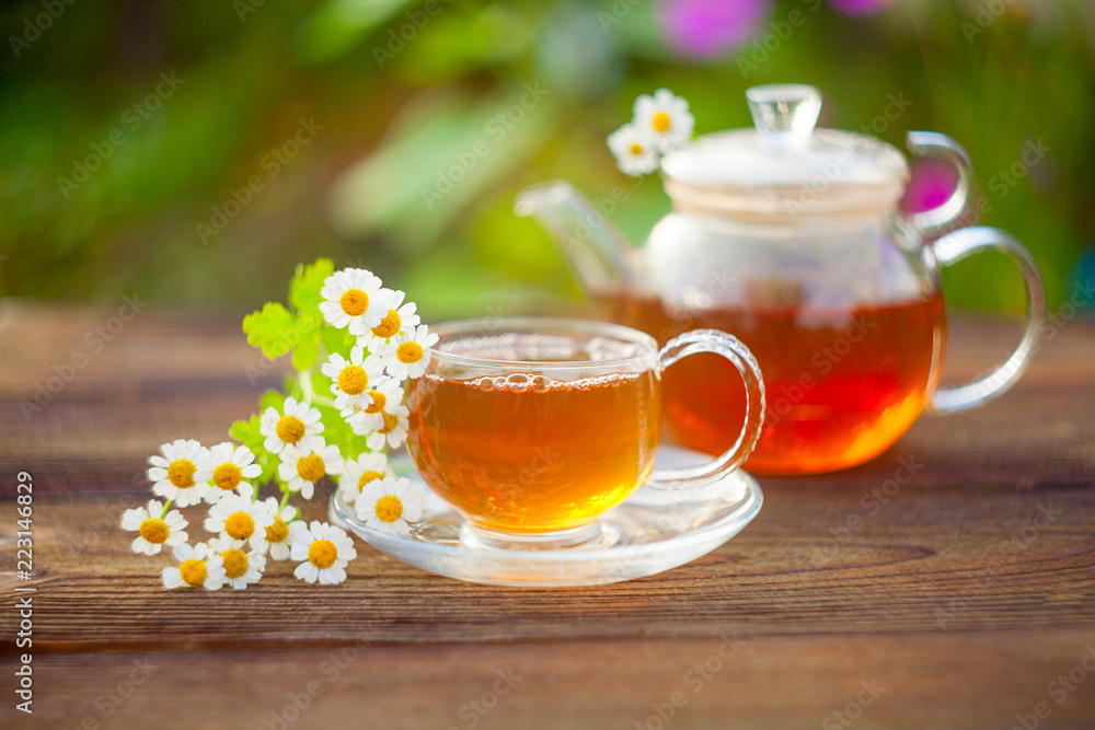 green tea with chamomile in cup green tea with chamomile in cup