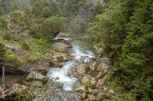 Fast river near forest in Bucegi mountains, Romania