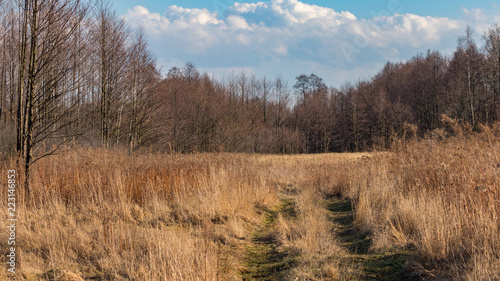 Wallpaper Mural the nature of southern Poland Torontodigital.ca