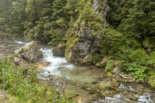 Fast river near forest in Bucegi mountains, Romania