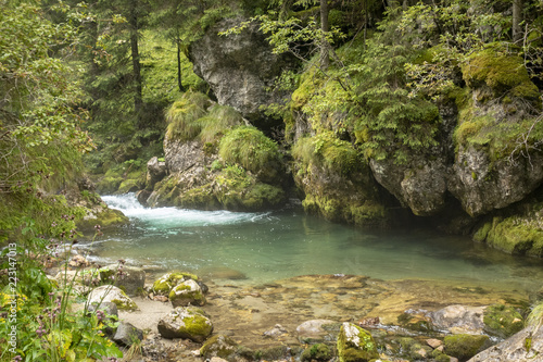 Fast river near forest in Bucegi mountains, Romania