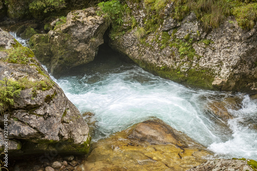 Fast river near forest in Bucegi mountains   Romania