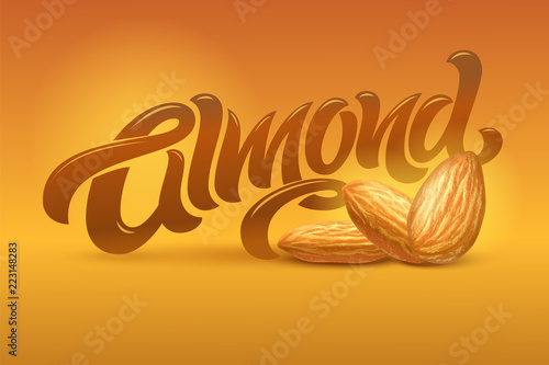 ALMOND lettering with realistic illustration of almonds on brown background. Vector illustration. Template for packaging design, print design, postcard, banner, label, poster, background.