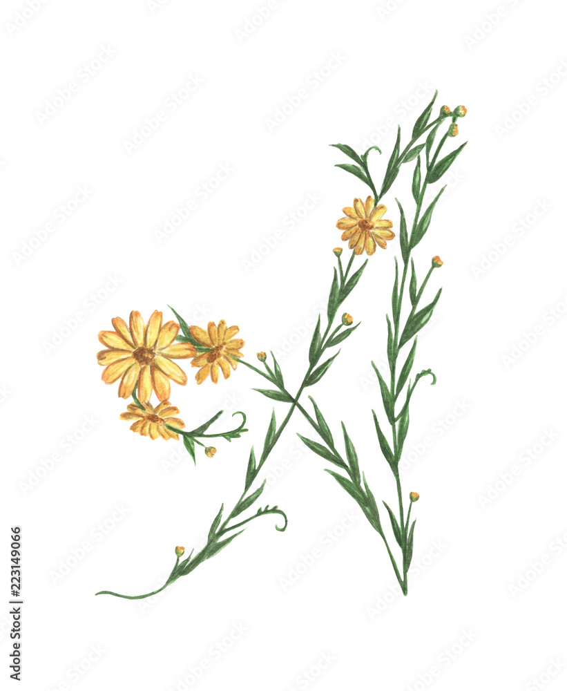 Fototapeta premium Floral Watercolor Alphabet. Letter A Made of Flowers. 