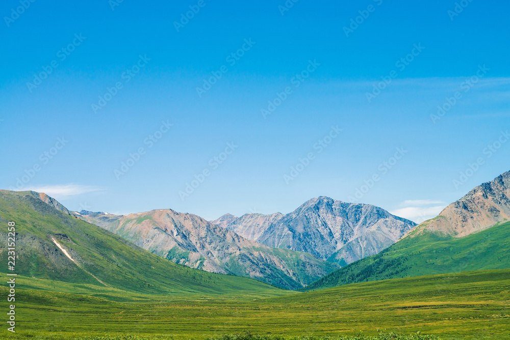 Giant mountains with snow above green valley under clear blue sky. Meadow with rich vegetation of highlands in sunlight. Amazing sunny mountain landscape of majestic nature.