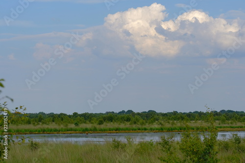 Verlüßmoor in der Umgebung von Osterholz-Scharmbeck im Sommer