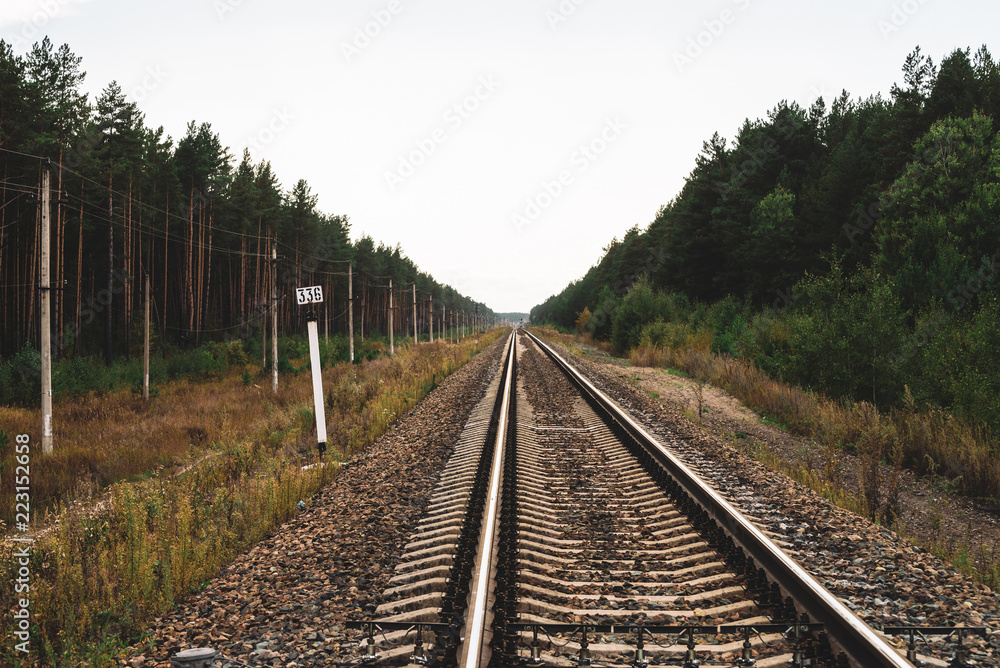 Railway traveling in perspective across forest. Journey on rail track. Poles with wires along rails. Atmospheric landscape with railroad along bushes and trees with copy space.