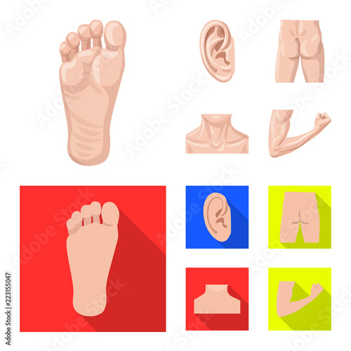 Vector illustration of human and part icon. Collection of human and woman vector icon for stock.