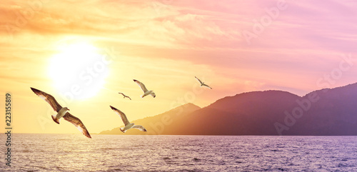 Sea sunset on The Greek islands in summer. Wide panorama of seascape - golden sunrise over the coastline with flying seagulls.
