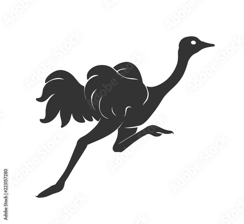 Ostrich running vector