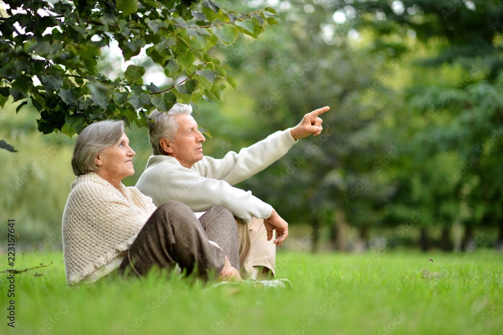 Fototapeta premium Portrait of elderly couple in summer park