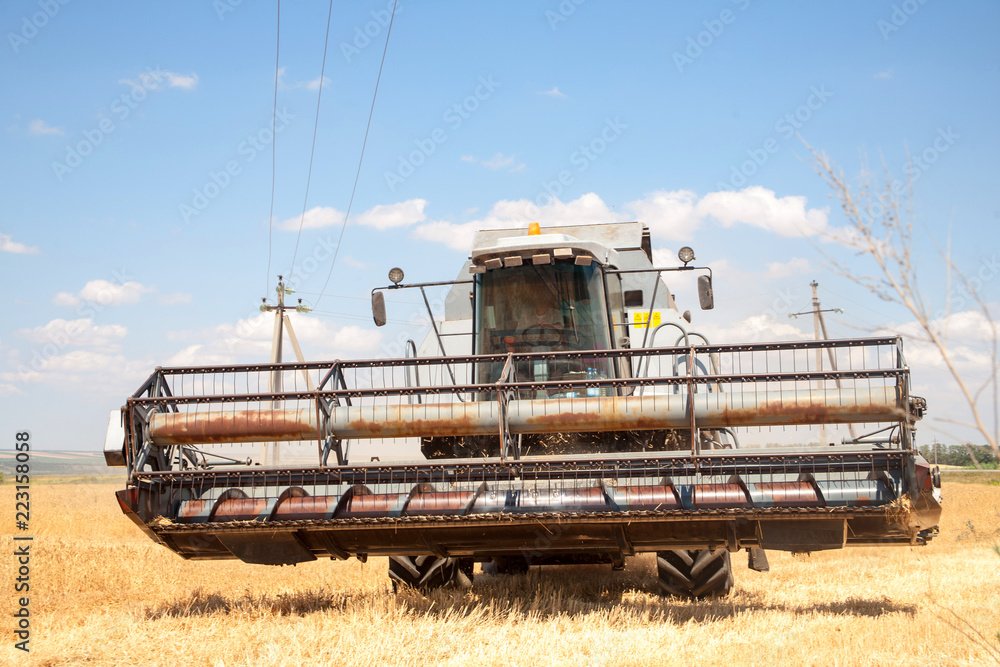 Fototapeta premium Harvester machine to harvest wheat field working