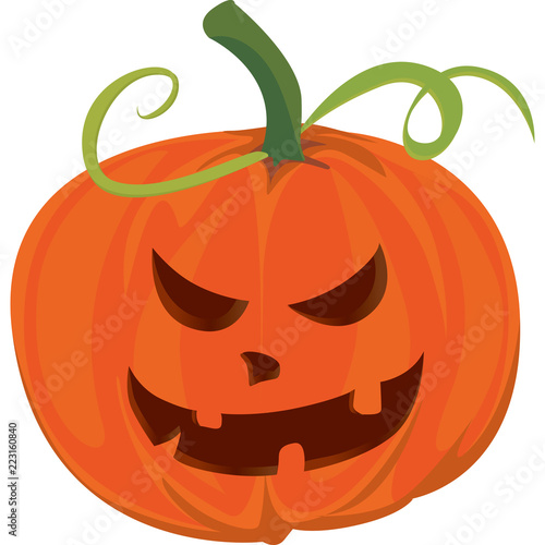 zucca halloween