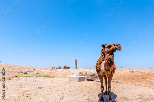 Ruins of University at Harran in Sanliurfa Turkey