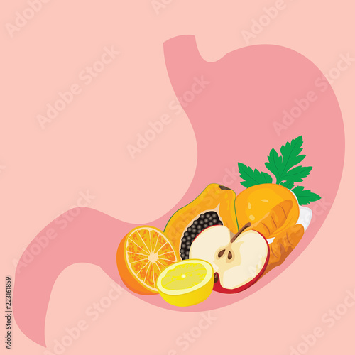 Shape of Stomach full of healthy meel.  Healthy  digestion concept.  photo