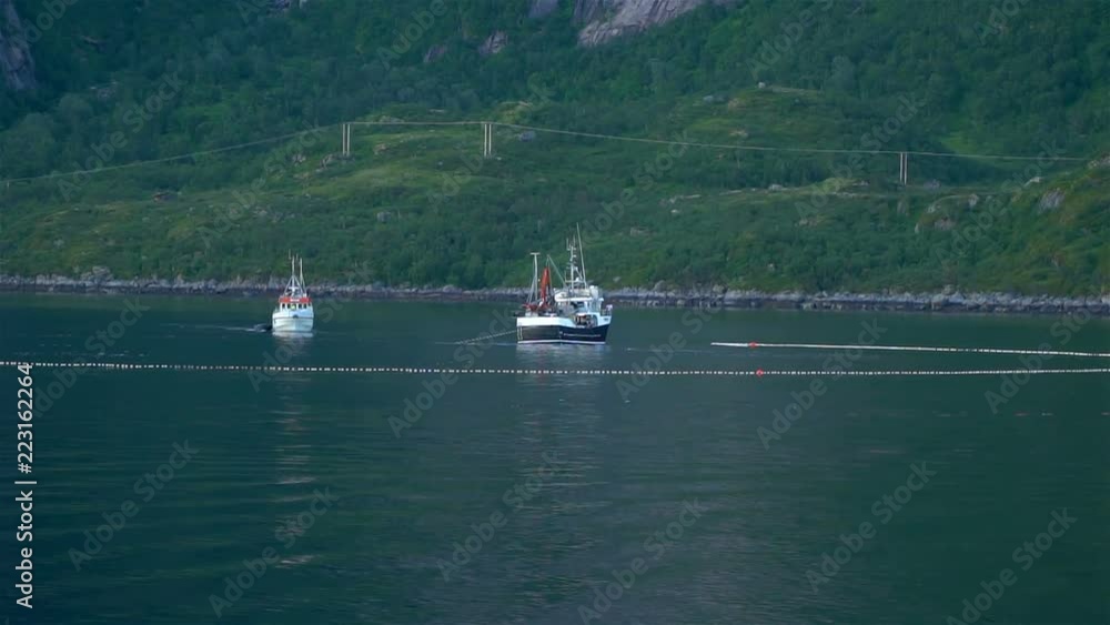 Fishing ships arrange nets for catching cod in the Gulf of the ...