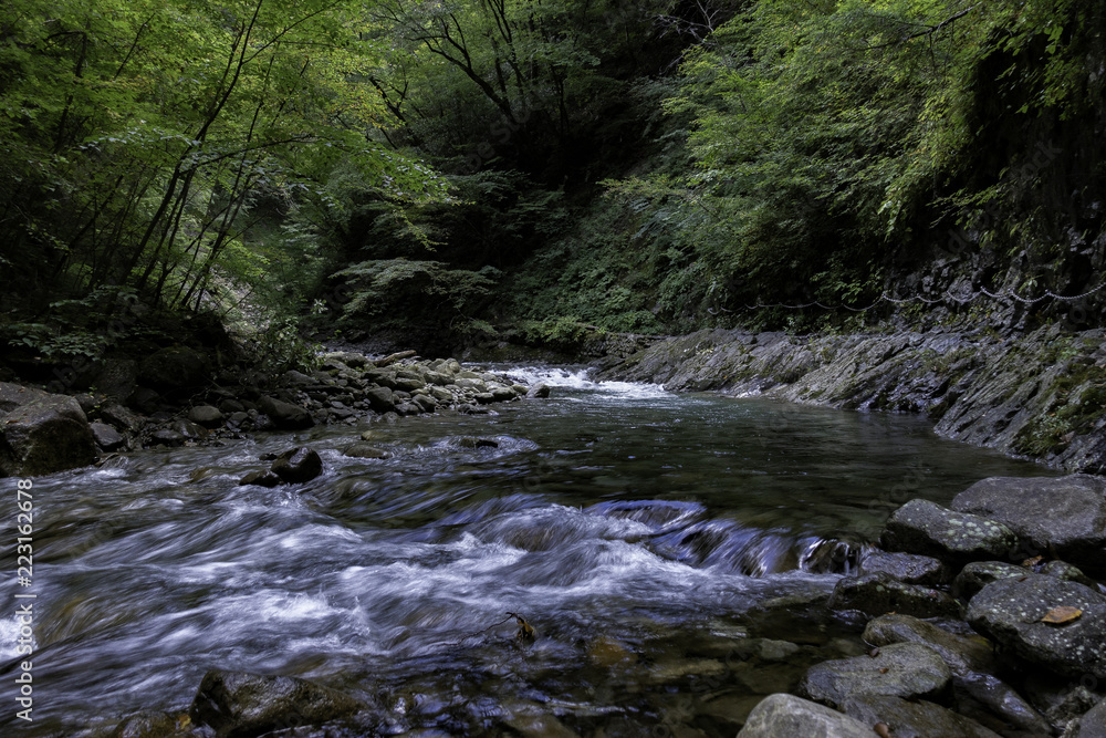 Fototapeta premium 渓谷