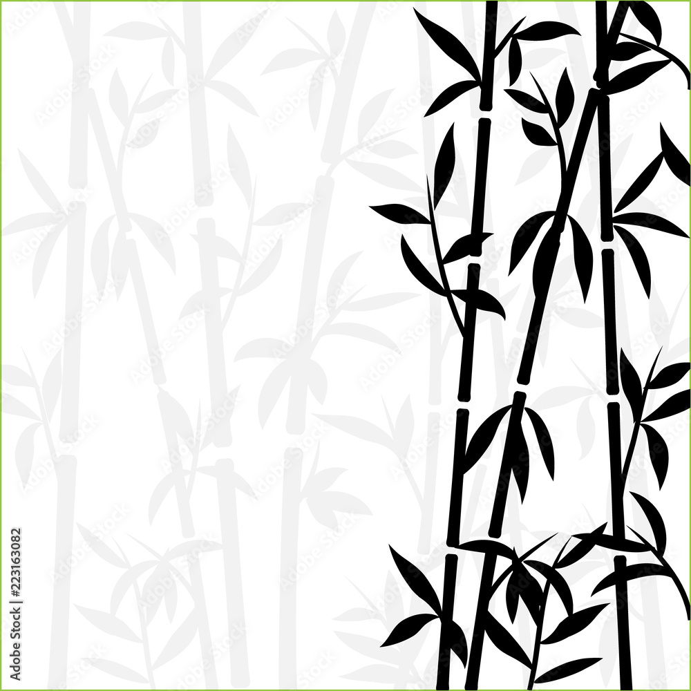 Fototapeta Bambusowego tła japońskiej azjatykciej rośliny tapetowa trawa. Bambusowy drzewny wektoru wzór czarny i biały