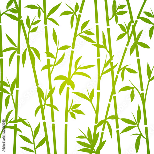 Bamboo background japanese asian plant wallpaper grass. Bamboo tree vector pattern © kolonko