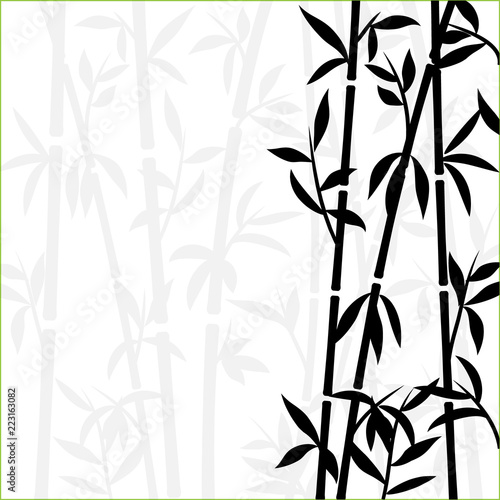 Fototapeta Naklejka Na Ścianę i Meble -  Bamboo background japanese asian plant wallpaper grass. Bamboo tree vector pattern black and white