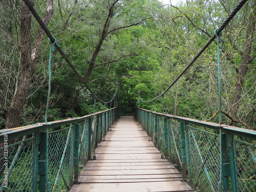  Hängebrücke in einem Naturpark in Rumänien